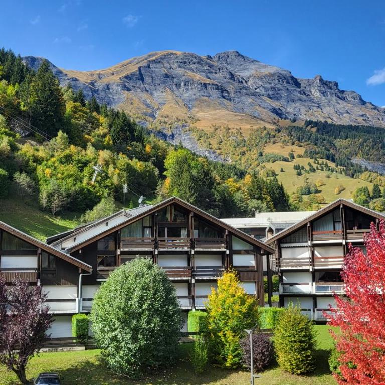 Appartement proche télécabine! Séjour tout inclu! - Apartamento de 1 dormitorio con balcón y vistas a la montaña - 13