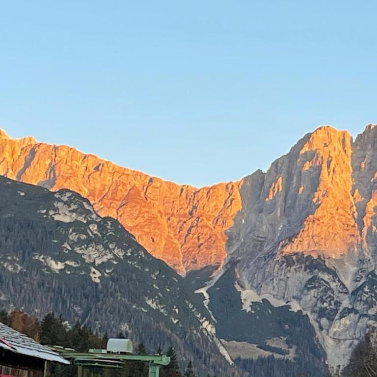 Andys Adlerblick - Apartment mit 1 Schlafzimmer - 13