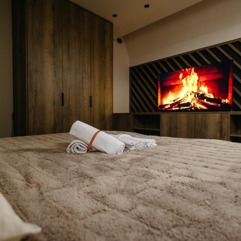 BOROVI PRESIDENT SPA Apartment - Apartman sa 2 Spavaće Sobe - 50