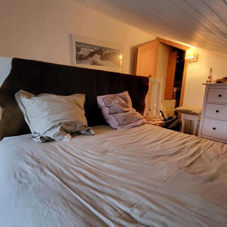 B21 Balcon de Venosc - 4 pers - Appartement - 10