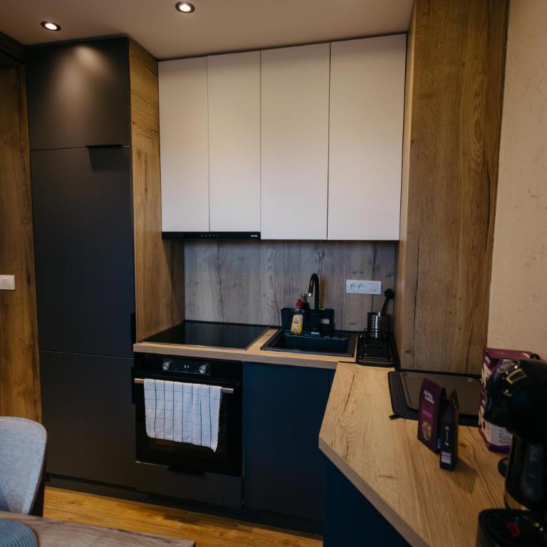 BOROVI PRESIDENT SPA Apartment - Apartman sa 2 Spavaće Sobe - 32