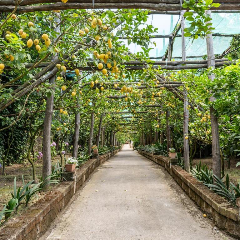 Romantic Garden - Three-Bedroom Villa - 29