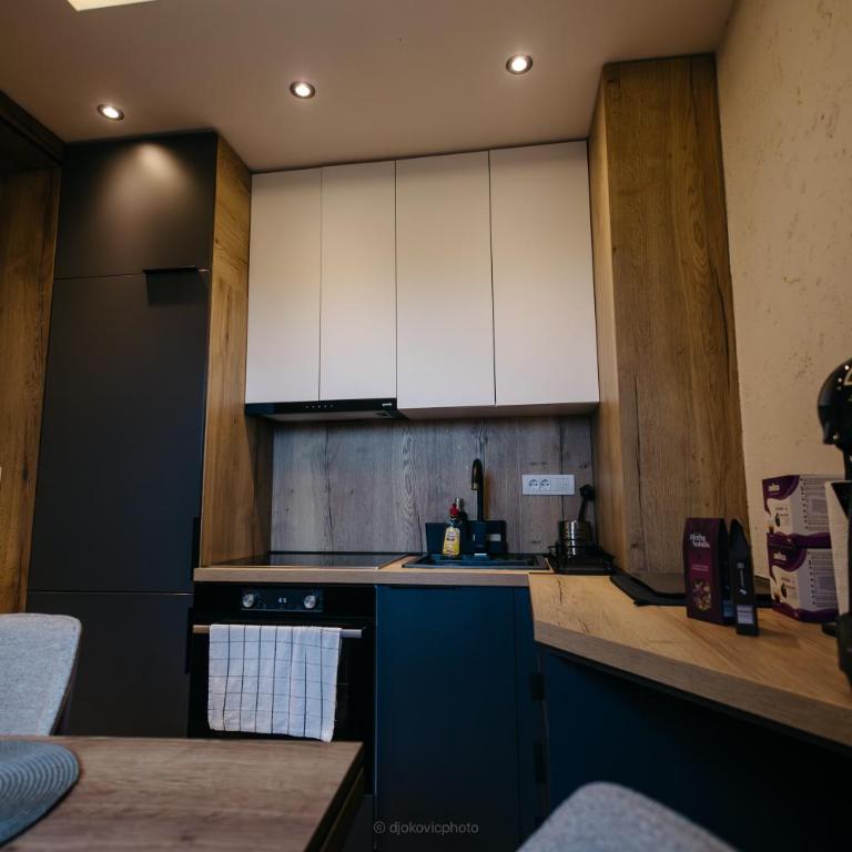 BOROVI PRESIDENT SPA Apartment - Apartman sa 2 Spavaće Sobe - 31