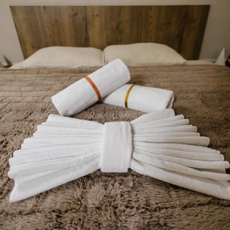 BOROVI PRESIDENT SPA Apartment - Apartman sa 2 Spavaće Sobe - 44