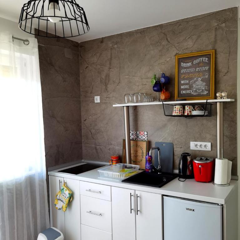Vila Nika - Apartman sa 1 Spavaćom Sobom - 9