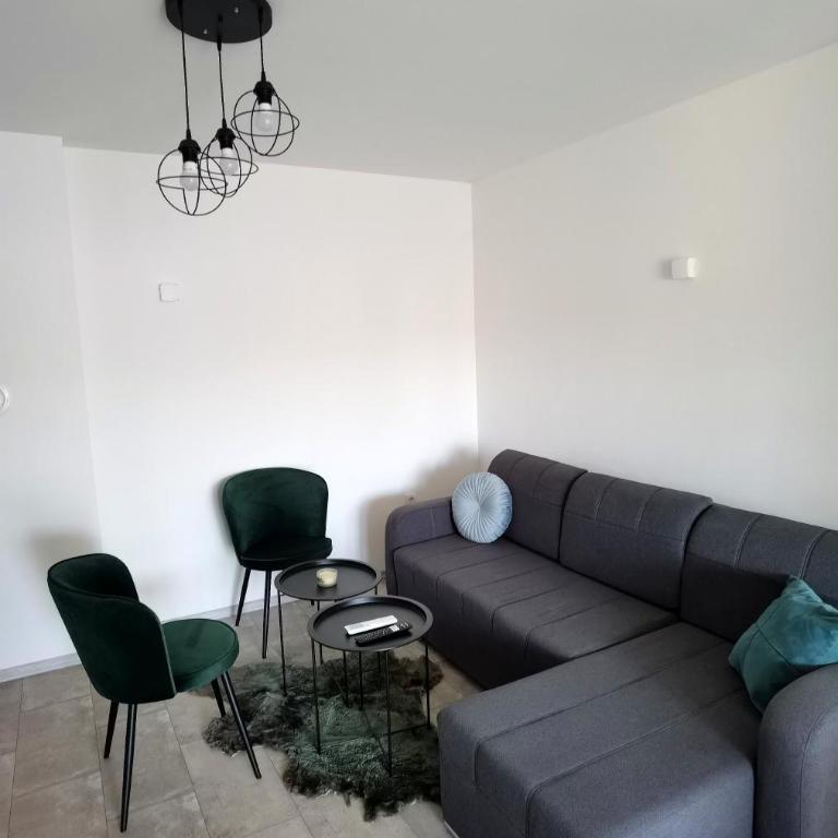 Vila Nika - Apartman sa 1 Spavaćom Sobom - 12