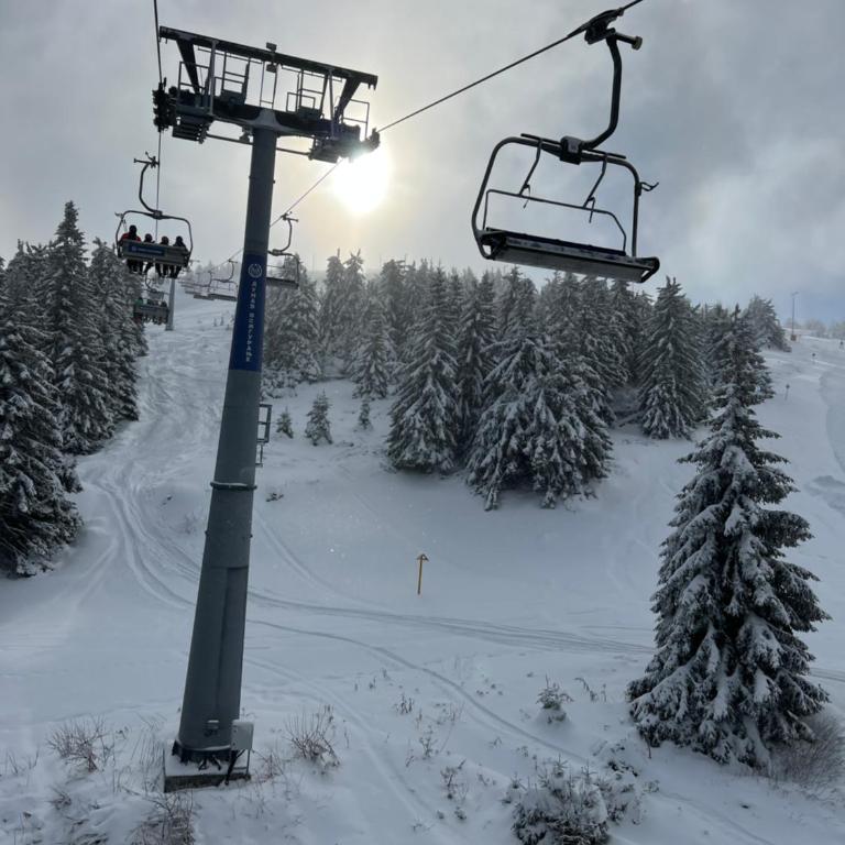 Apartman Maša Vidik Residance Kopaonik - One-Bedroom Apartment - 47