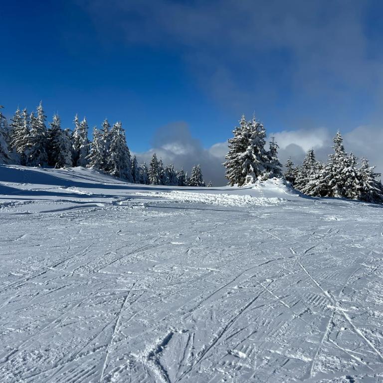 Apartman Maša Vidik Residance Kopaonik - One-Bedroom Apartment - 44