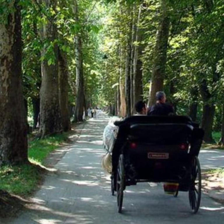 Apartment in Velika Aleja at Ilidža - Three-Bedroom Apartment - 1