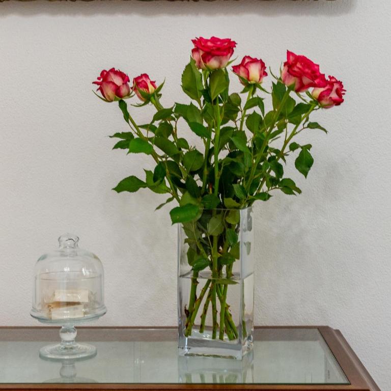MCH Marina Charming House - Elegant Stay in Cagliari - Appartamento con 1 Camera da Letto e Terrazza - 14
