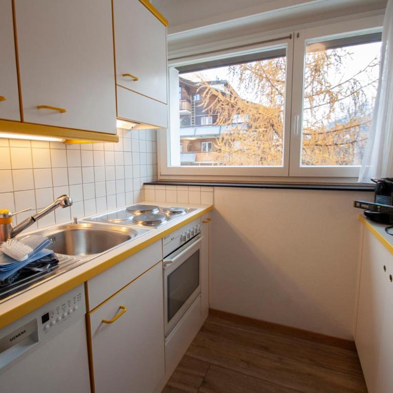 Haus Matten, Apartment Gant - Apartamento de 1 dormitorio - 34