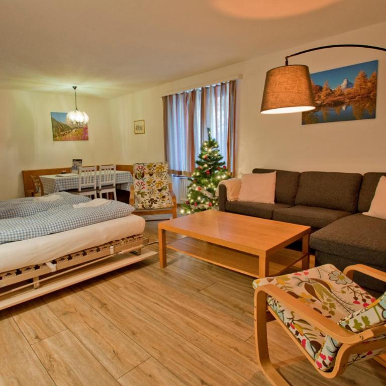 Haus Matten, Apartment Gant - Apartamento de 1 dormitorio - 28