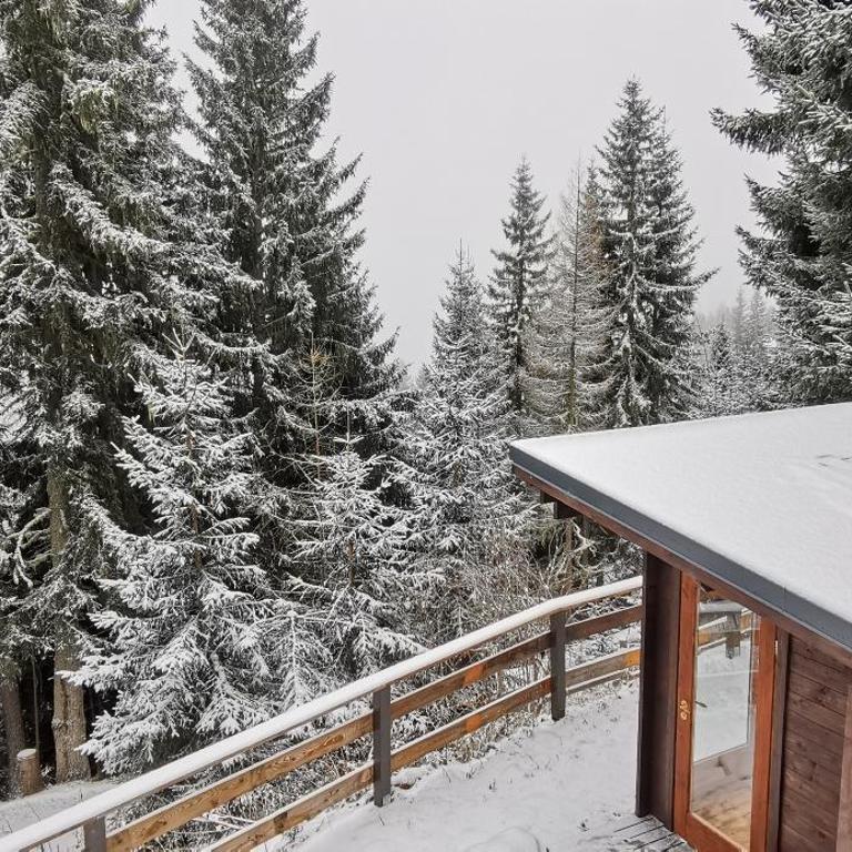 Chalet Alpl - Ferienwohnung Waldblick mit Sauna, Kamin & Whirlwanne - Apartment mit 2 Schlafzimmern - 9