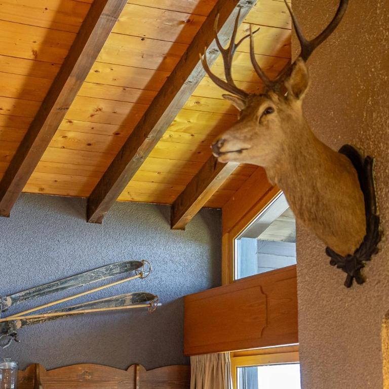 Chalet Rübezahl Attika - Apartment - 11