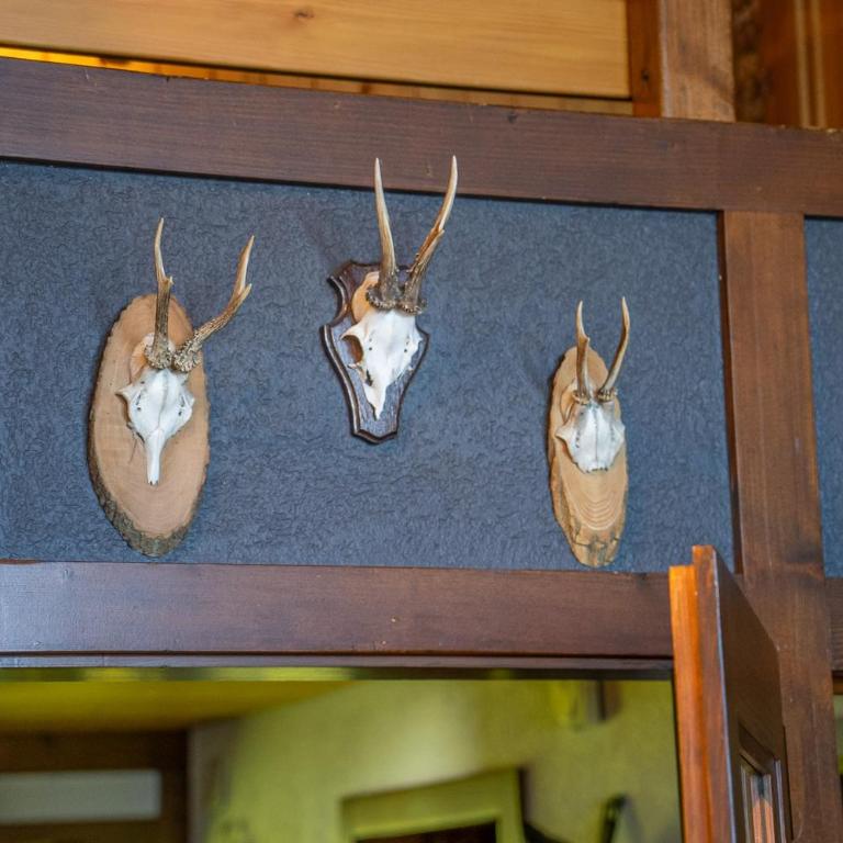 Chalet Rübezahl Attika - Apartment - 9