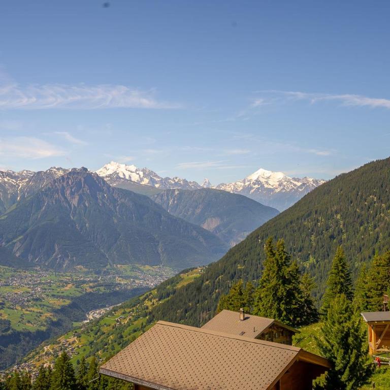 Chalet Rübezahl Attika - Apartment - 17