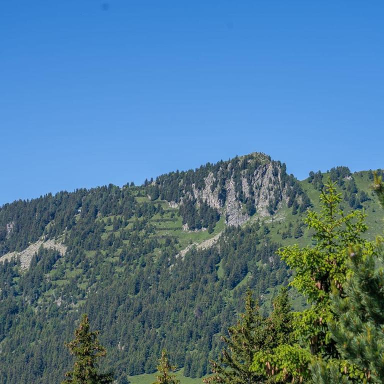 Chalet Rübezahl Attika - Apartment - 23