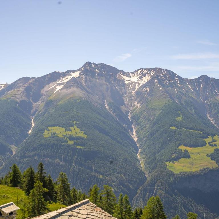 Chalet Rübezahl Attika - Apartment - 24