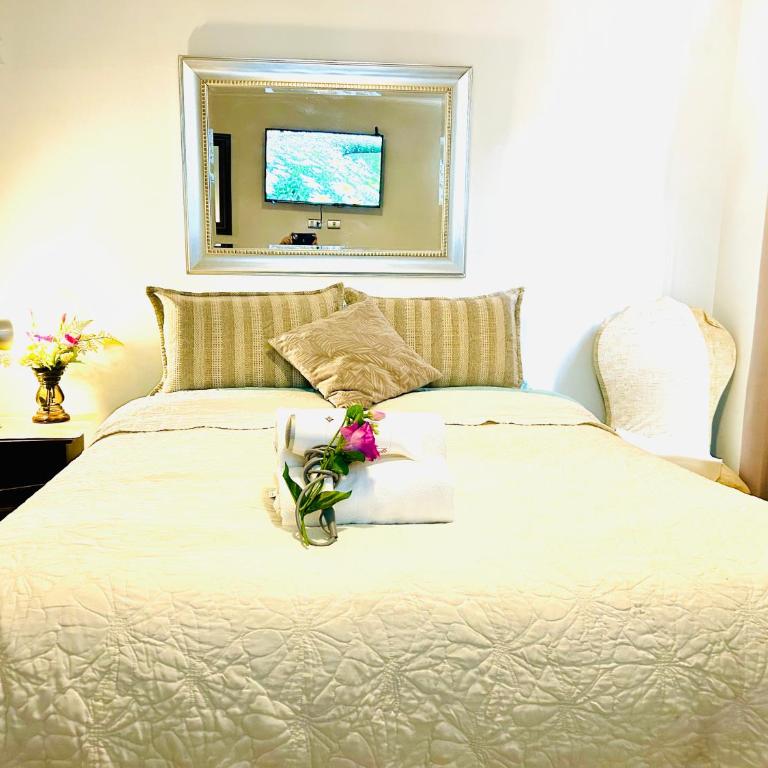 Amoblado casco histórico Metro Santa Lucía 9 - Apartamento de 1 dormitorio - 9
