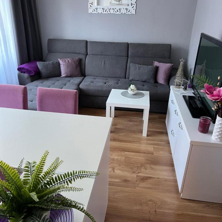 Sara apartman - Apartman sa 1 Spavaćom Sobom - 11