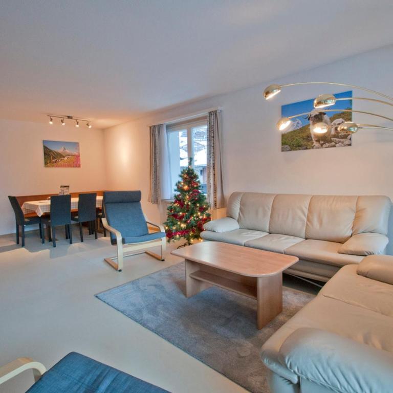 Haus Matten, Apartment Birch - Apartamento de 1 dormitorio - 1