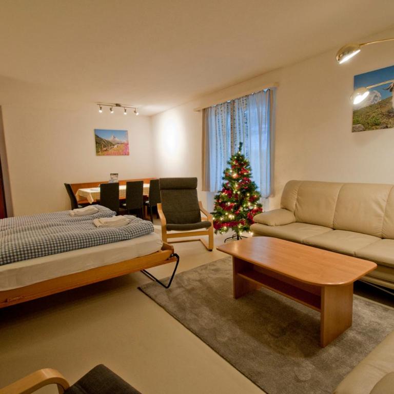 Haus Matten, Apartment Birch - Apartamento de 1 dormitorio - 7