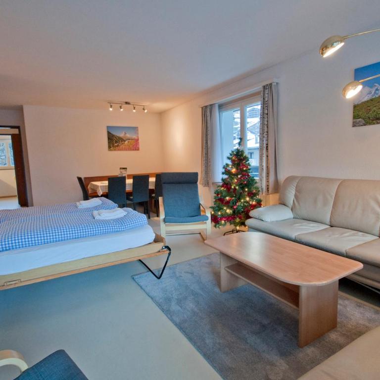 Haus Matten, Apartment Birch - Apartamento de 1 dormitorio - 5