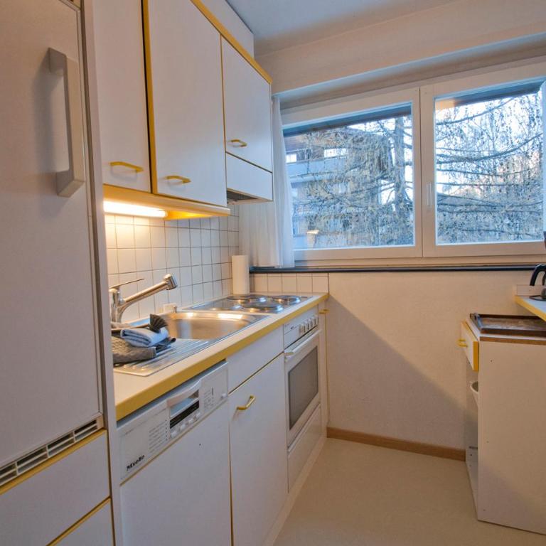 Haus Matten, Apartment Birch - Apartamento de 1 dormitorio - 8