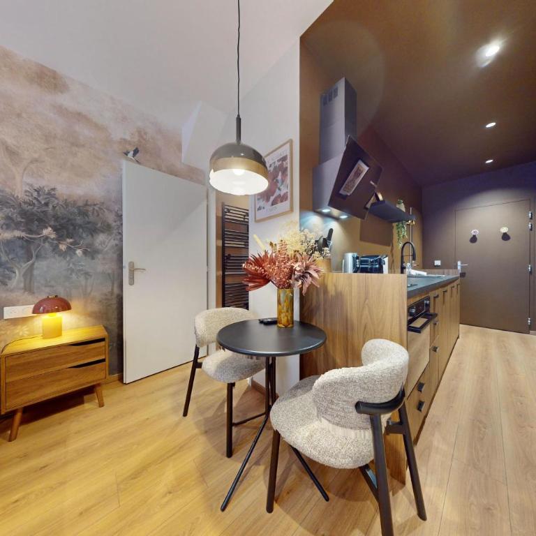 Studio Moderne en plein coeur de la Vieille Ville d'Annecy - Apartment - 7