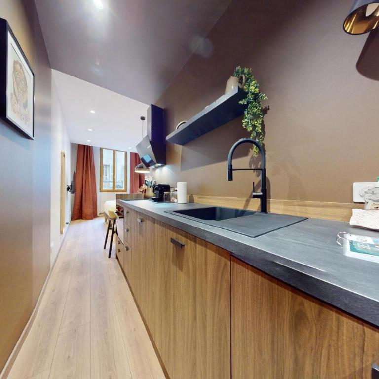Studio Moderne en plein coeur de la Vieille Ville d'Annecy - Apartment - 15