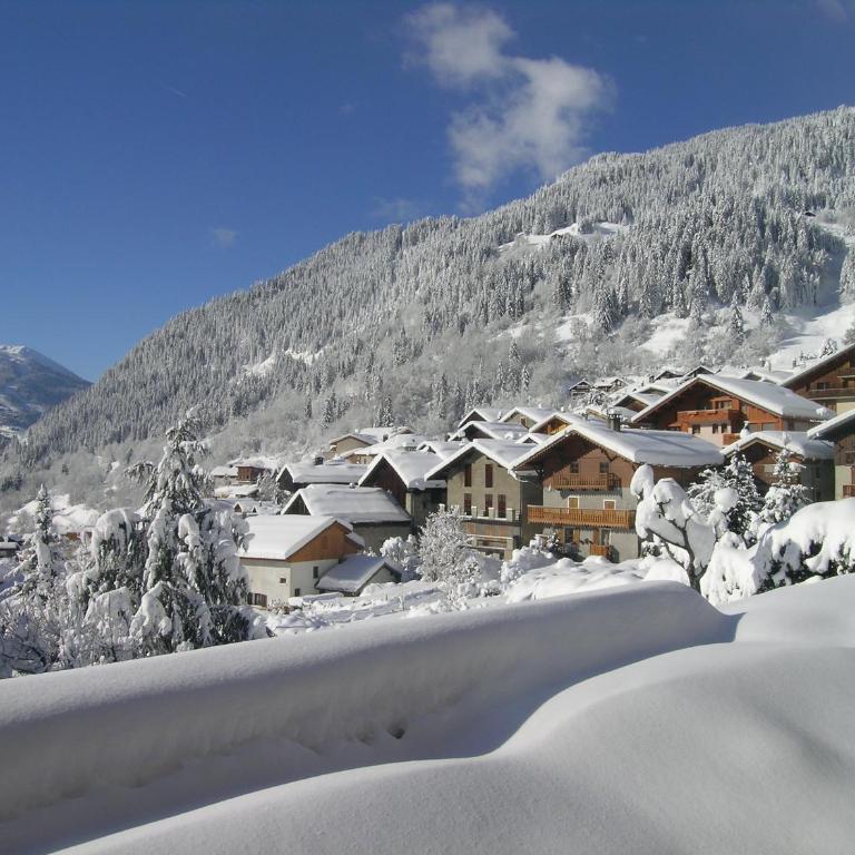 Chalet Les Barmés - Appartement 3 Chambres - 28