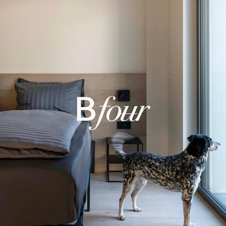 Bfour - Camera Matrimoniale/Doppia con Letti Singoli con Bagno Privato - 3
