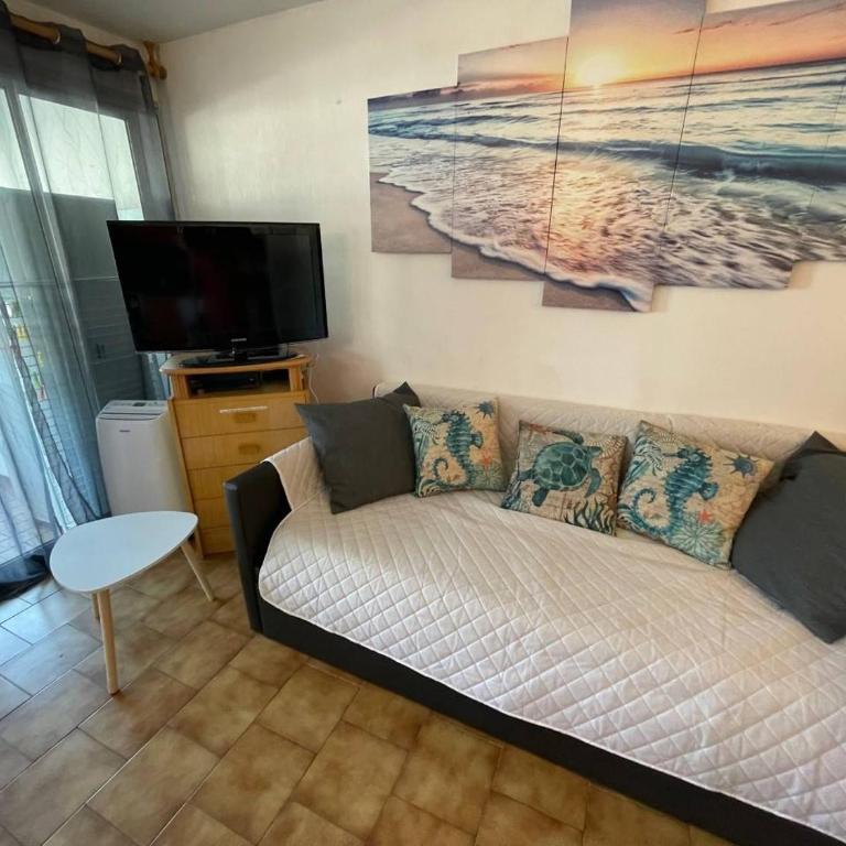Appartement deux pièces- Argelès sur mer AR410-150 - Appartamento - 3