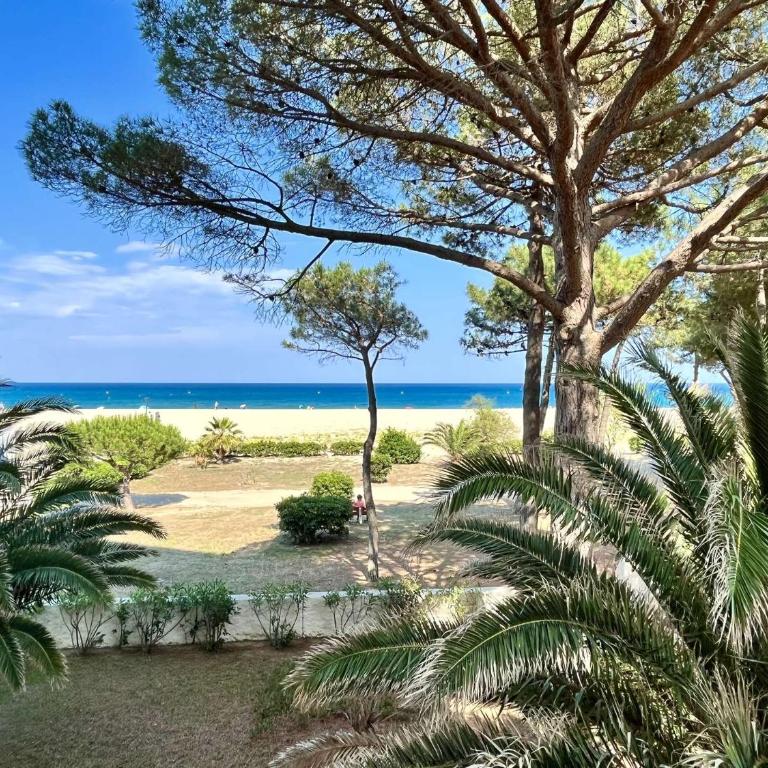 Appartement 3 pièces 4 couchages ARGELES SUR MER AR350-A01 - Appartamento - 1