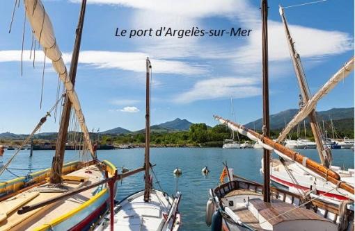 Appartement 2 pièces 4 couchages ARGELES SUR MER AR450-1007 - Apartment - 11