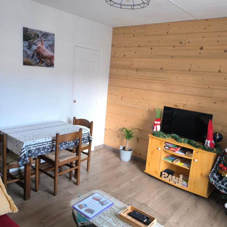 T2 Cosy Balcon & Parking 800m pistes Fibre & Netflix - Appartement 1 Chambre - 5