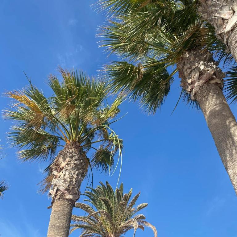 Ocean View Sunny Suite - Pool & Parking - Golf de Sur - Apartamento de 1 dormitorio - 44