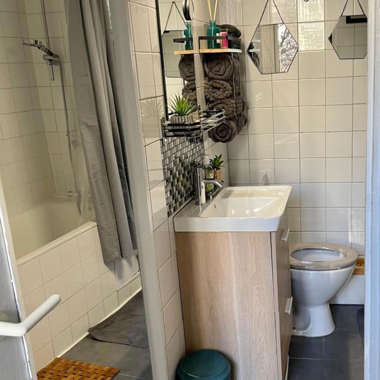 Renovated ! City of Lights, light your visit - Appartement 1 Chambre - 22