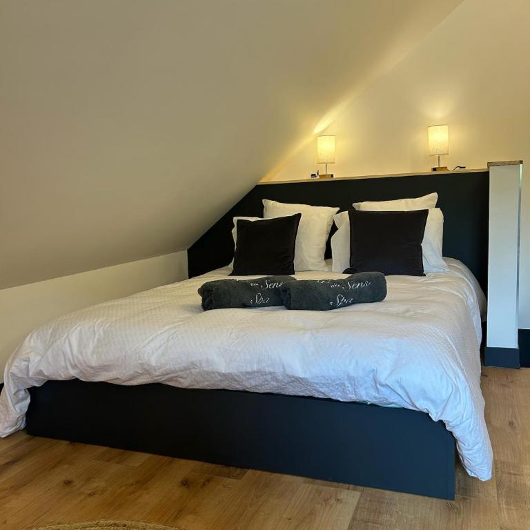Art des sens - SPA et Sauna privatifs - Studio avec Lit King-Size - 8