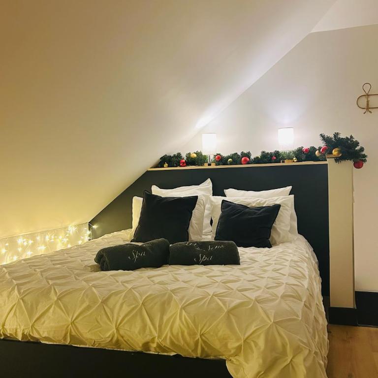 Art des sens - SPA et Sauna privatifs - Studio avec Lit King-Size - 9