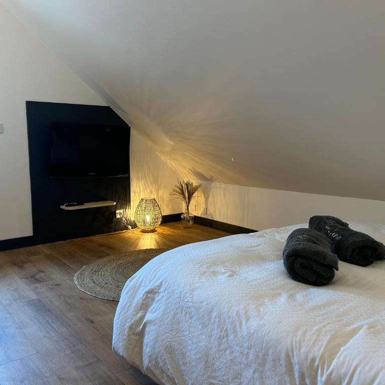 Art des sens - SPA et Sauna privatifs - Studio avec Lit King-Size - 10