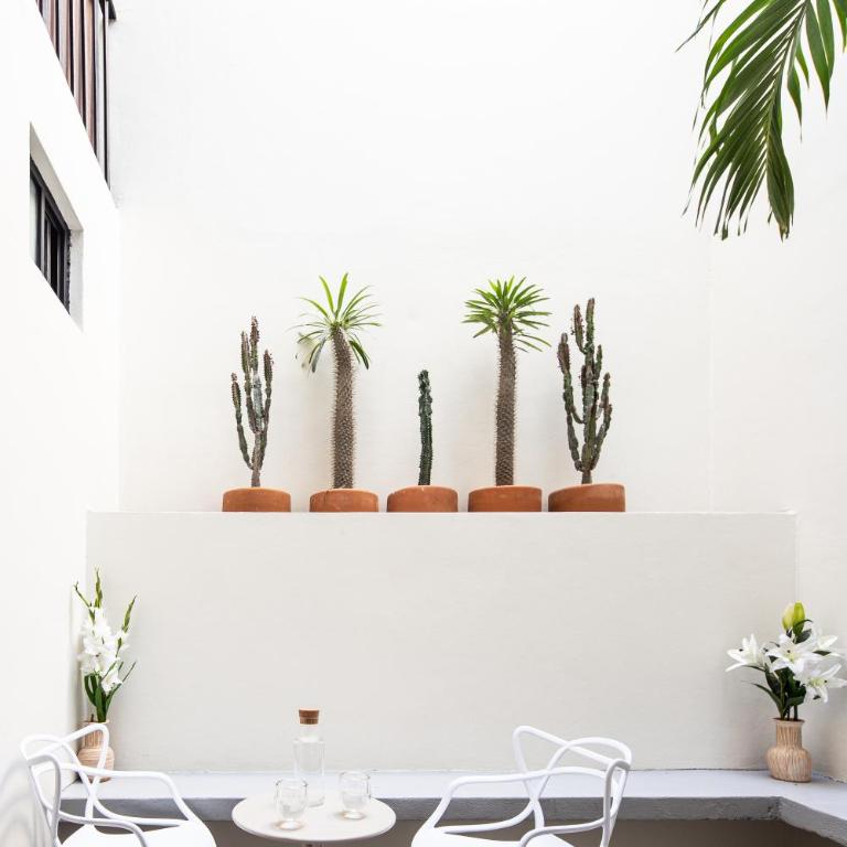 Casa Lumos - Minimalist Comfort Suites in Centro Historico - Suite - 28