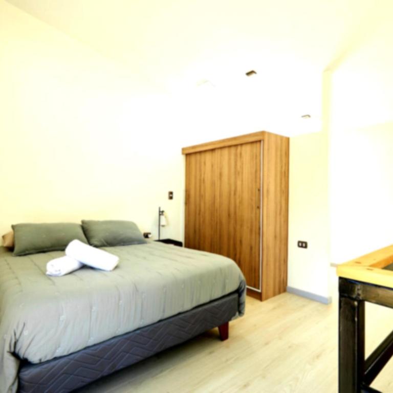 Departamentos Valdivia Teja Sur - Two-Bedroom Apartment - 3