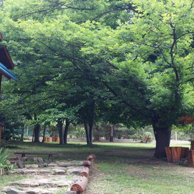 Cabañas Villa Adler - Casa con 1 dormitorio - 13