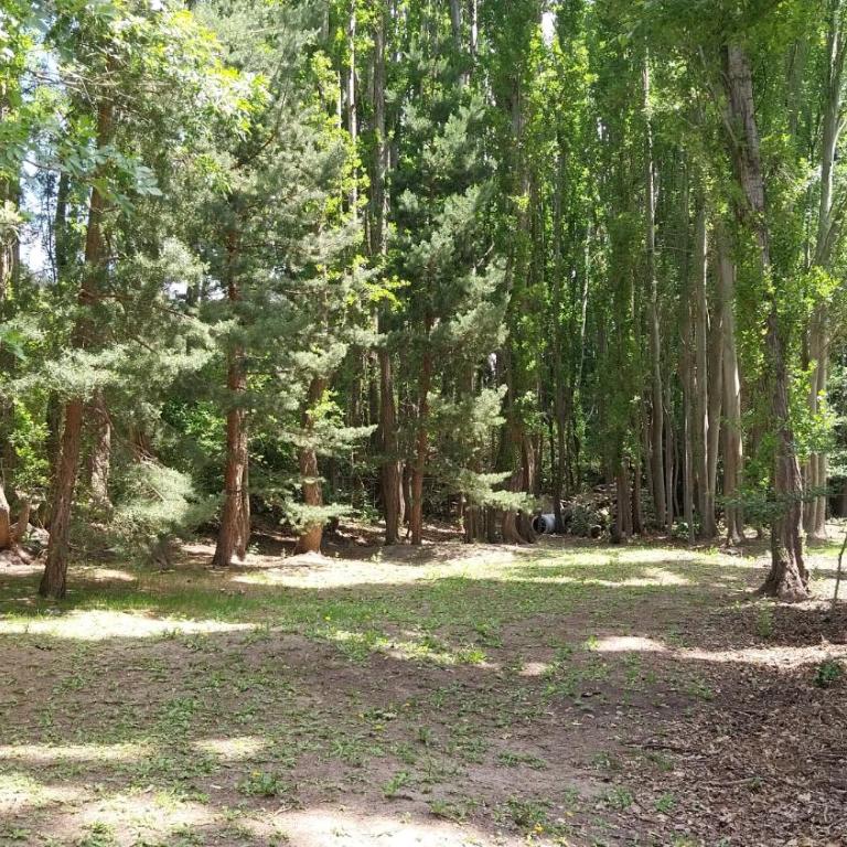 Cabañas Villa Adler - Casa con 1 dormitorio - 18