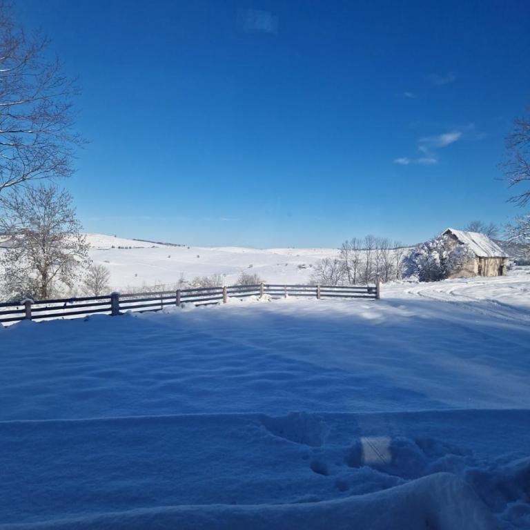 Lukina koliba-vikendica-Manjaca - Kuća sa 1 Spavaćom Sobom - 10