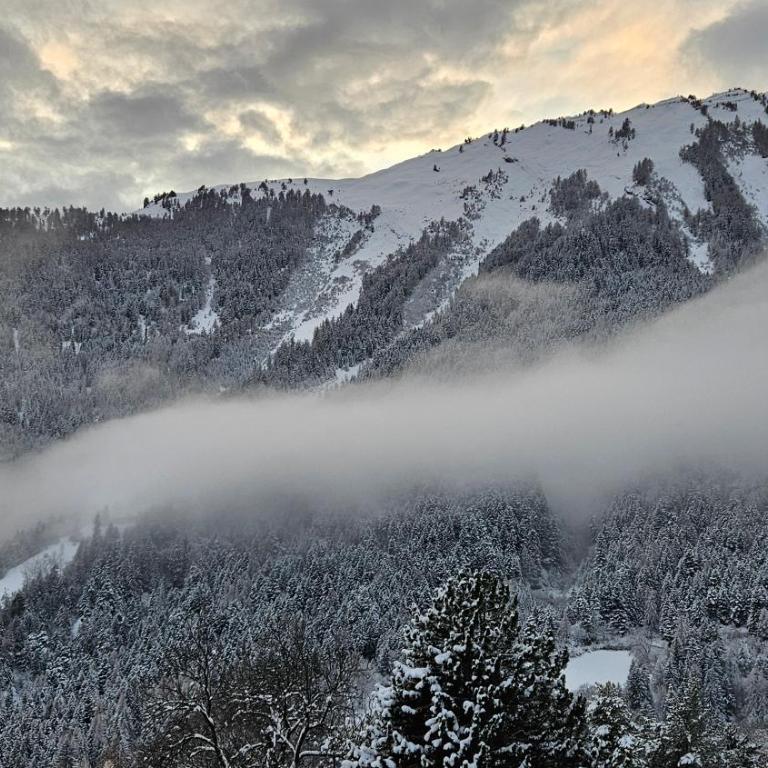 Studio 4206 Les Sources aux Bains d'Ovronnaz - Studio mit Poolblick - 31
