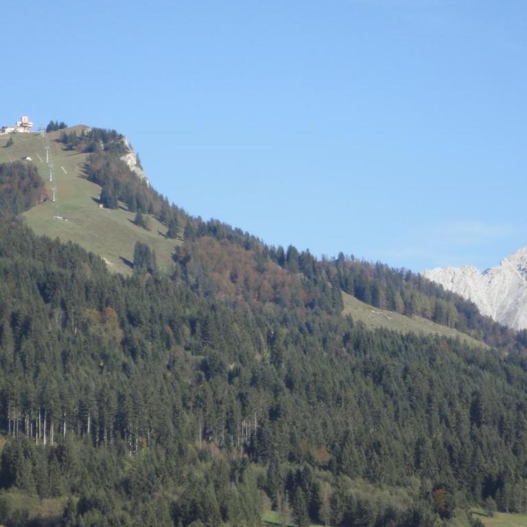 Haus Horngacher - Apartamento con vistas a las montañas - 14