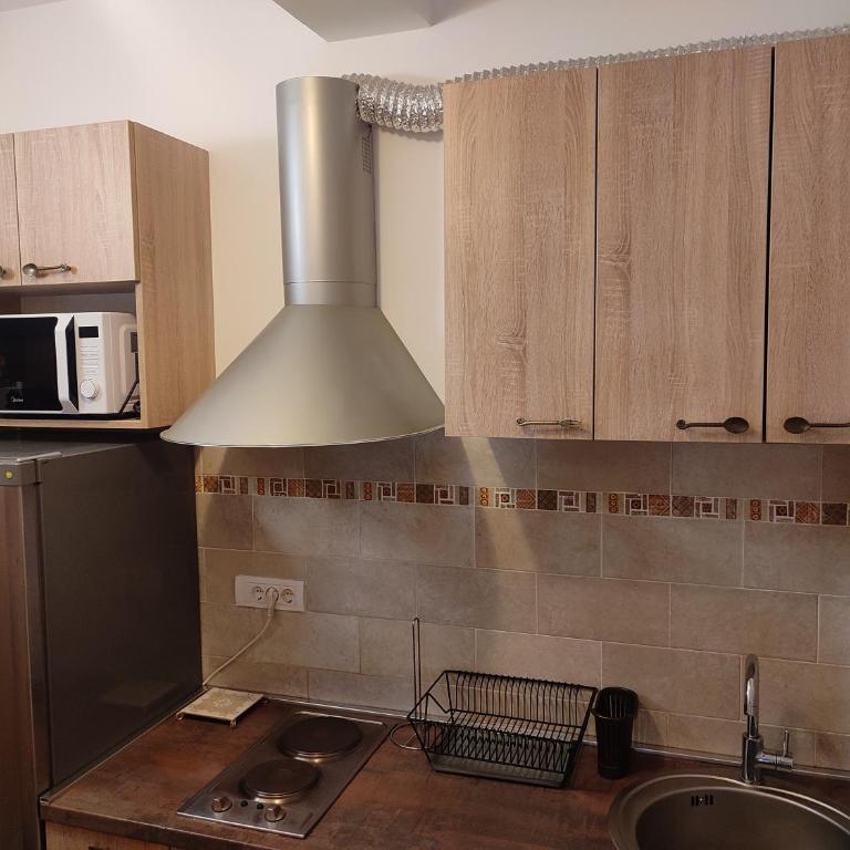 Kopaonik apartman Miklušev - Apartman sa Pogledom na Planinu - 11