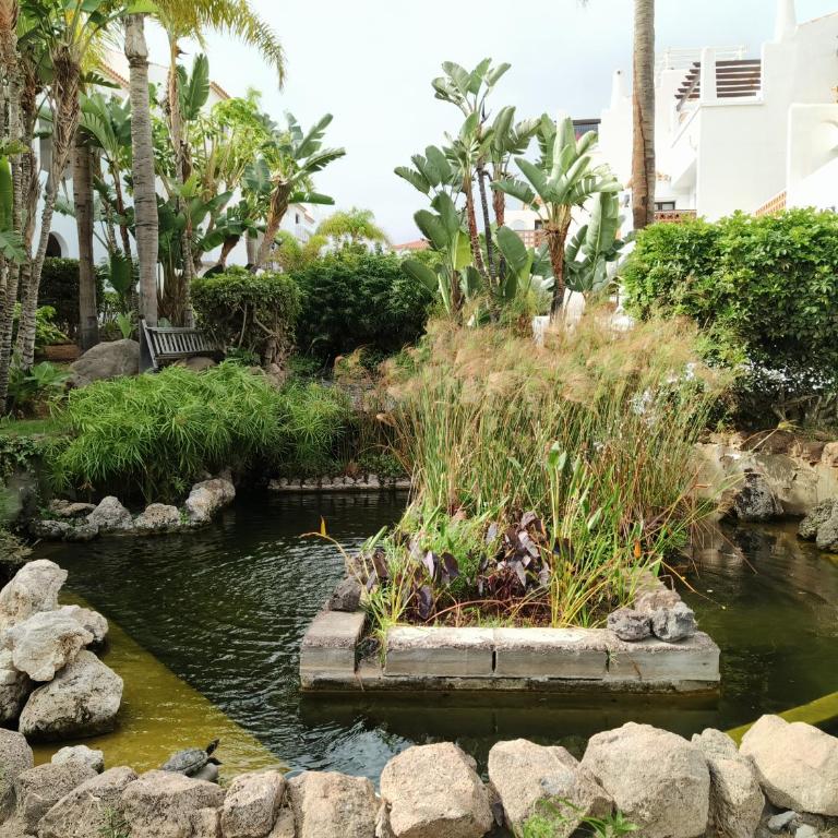 FAIRWAYS CLUB, suite B37 - Apartamento de 1 dormitorio - 15